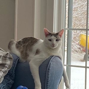 Meet your Posher, Annika